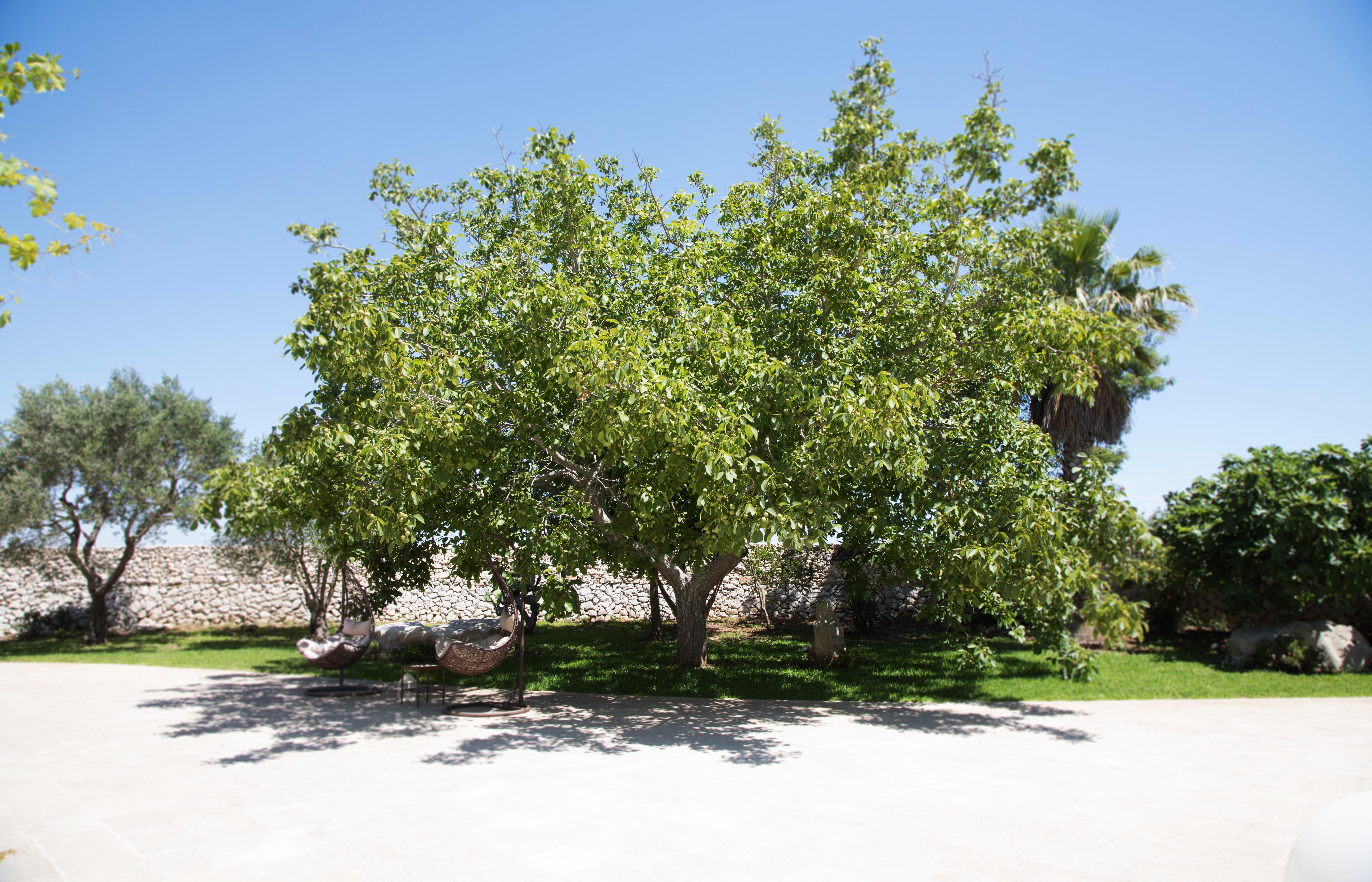 Don Agostino Relais Masseria Martano Exterior photo